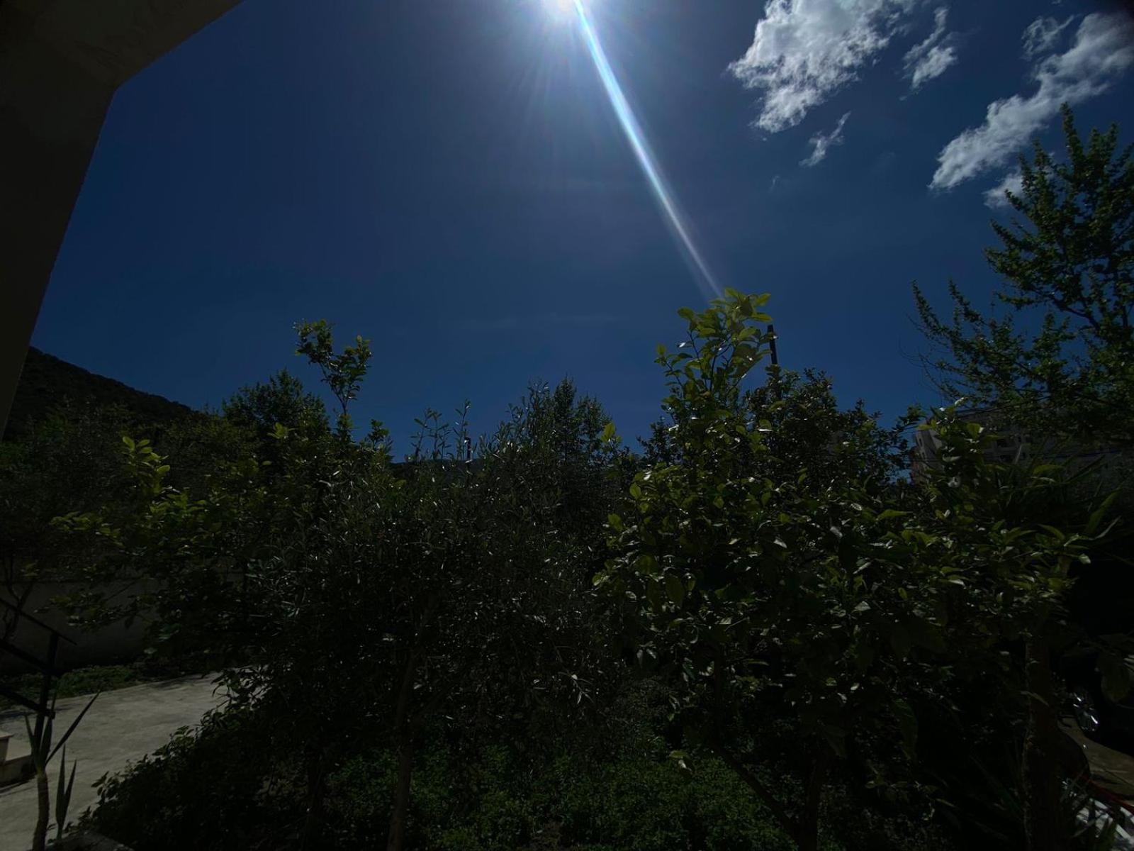 Jon Apartment Vlore Bilik gambar